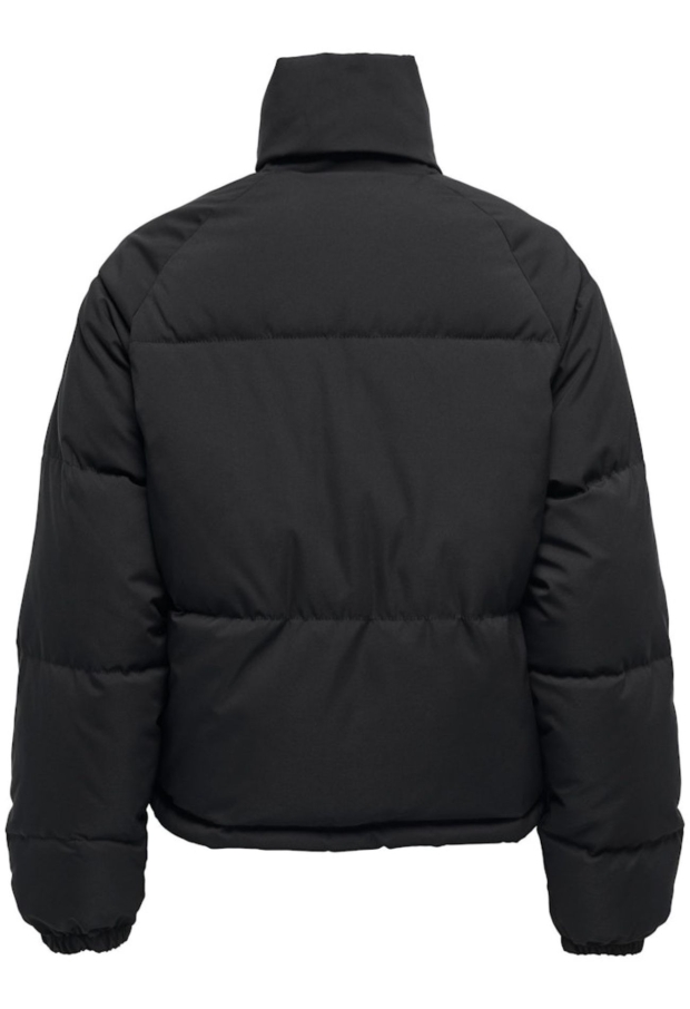 15341777 Black 