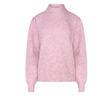 Kleur paars