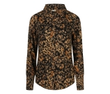 Kleur beige