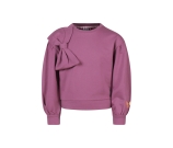 Kleur paars