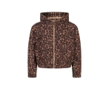 Kleur bruin