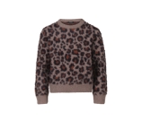 Kleur bruin
