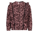 Kleur paars