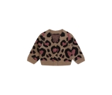 Kleur beige