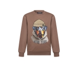 Kleur bruin