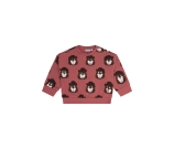 Kleur rood