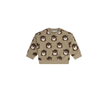 Kleur beige
