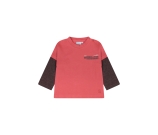 Kleur rood