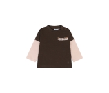 Kleur bruin