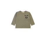 Kleur groen