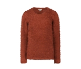 Kleur bruin