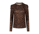 Kleur bruin
