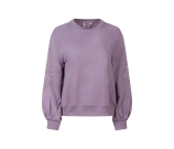 Kleur paars
