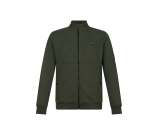 Kleur groen