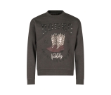Kleur grijs