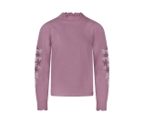 Kleur paars