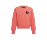 Kleur oranje