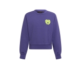 Kleur paars