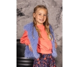Kleur blauw