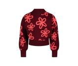 Kleur rood