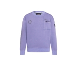 Kleur paars