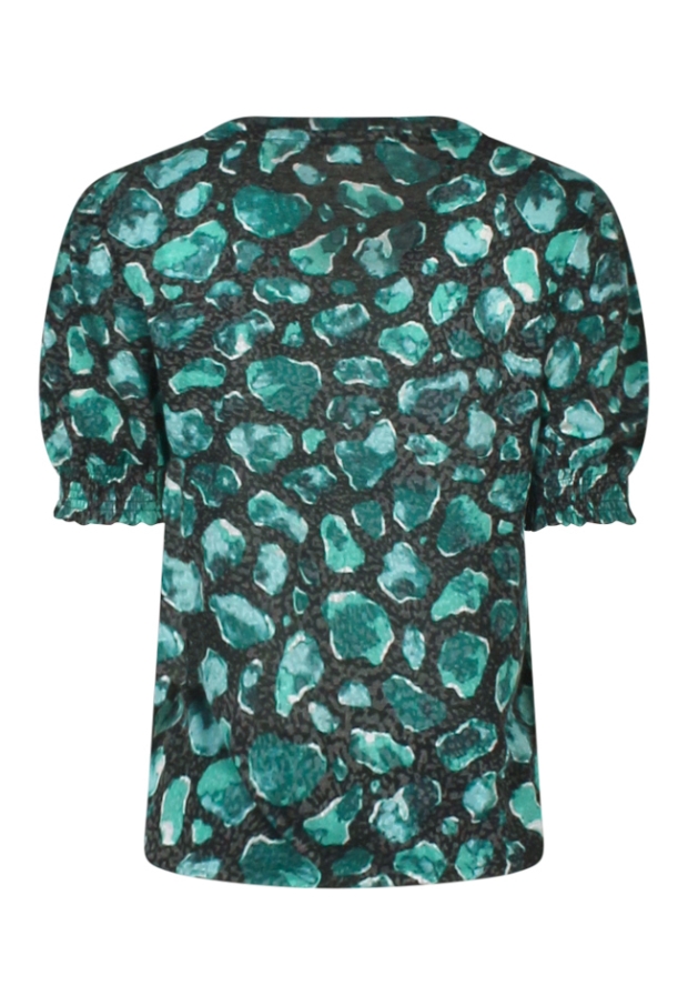 W10018/213427 petrol 