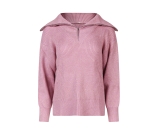 Kleur paars