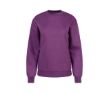 Kleur paars