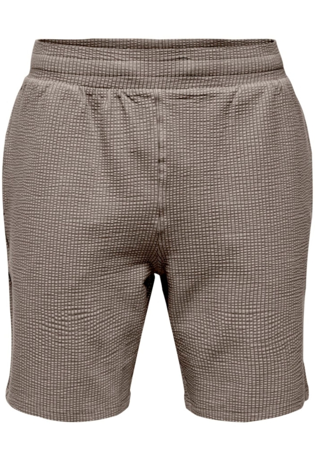 22036544 Coffee Bean/SILVER LINING 