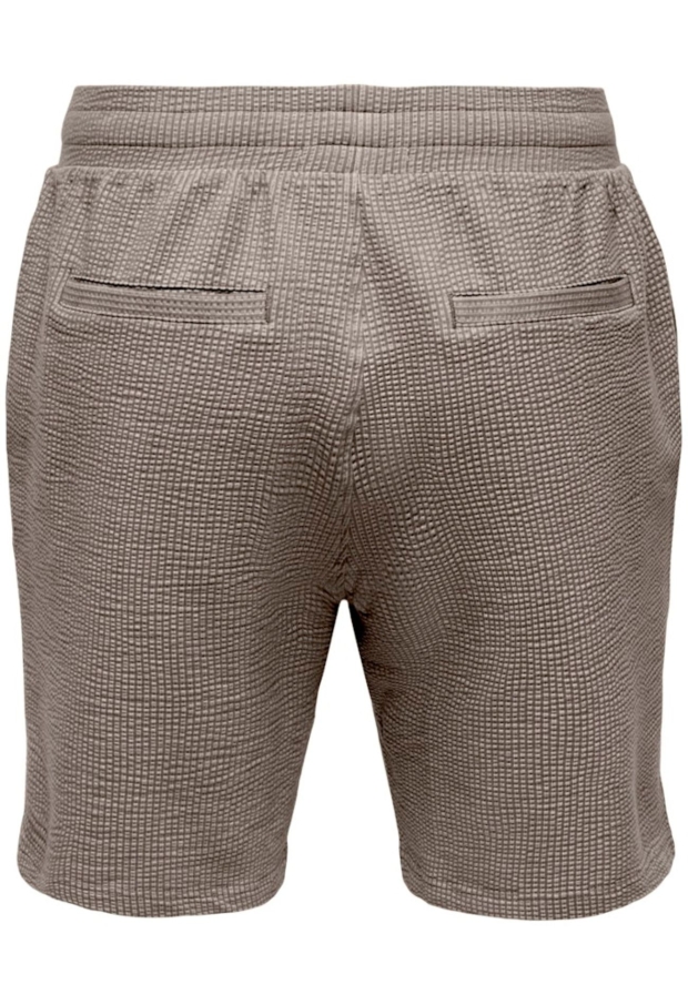 22036544 Coffee Bean/SILVER LINING 