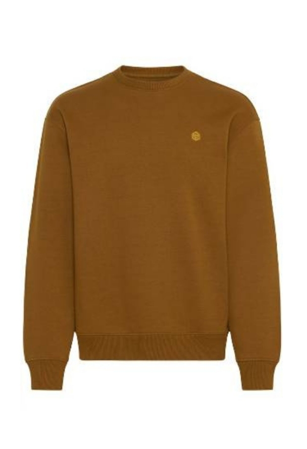 20718487 camel 