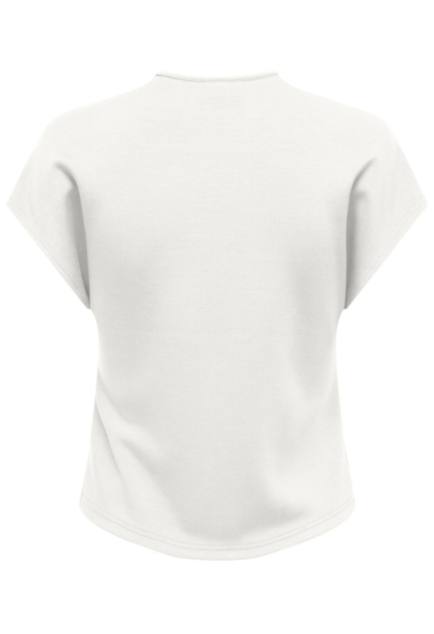 15365935 Cloud Dancer 