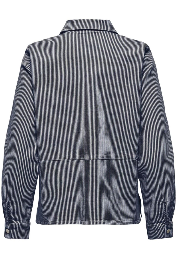 15365850 Black Iris/CLOUD DANCER 