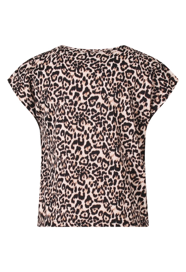 Z10315/Stella aop KIT 