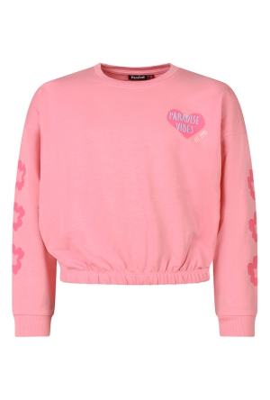 Persival Z10326/Miley LICHT ROSE  dianthus