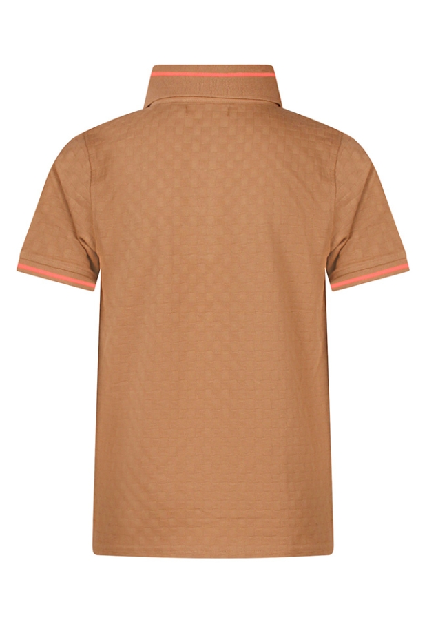 Z10355/Willem CAMELL 