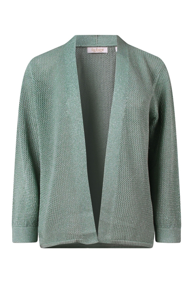 Z10537/Alexia Pastel Groen 