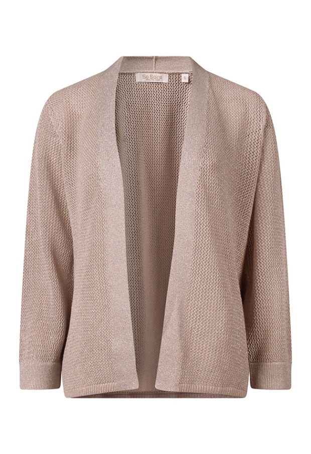 Z10537/Alexia champagne 