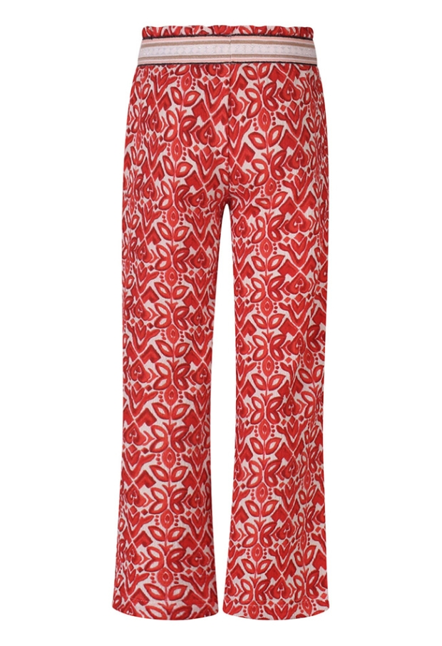 Z10557/GP83233-A koraal 