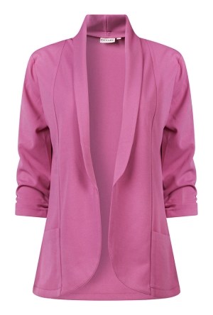 Citylife Z10477/403689a cyclaam  purple orchid