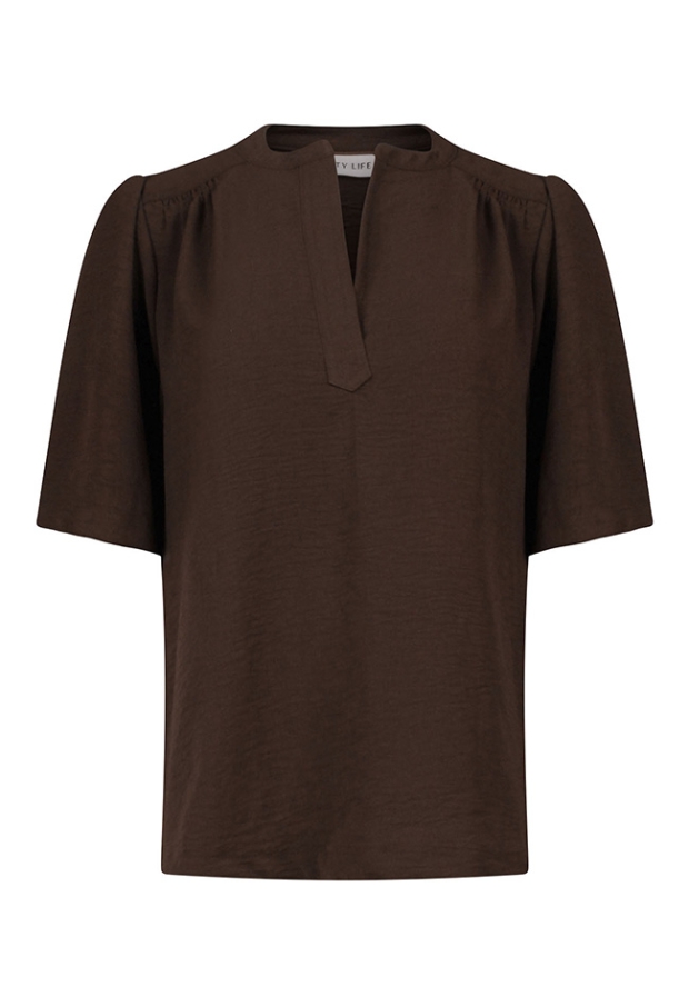 Z10673/CX10077 Bruin