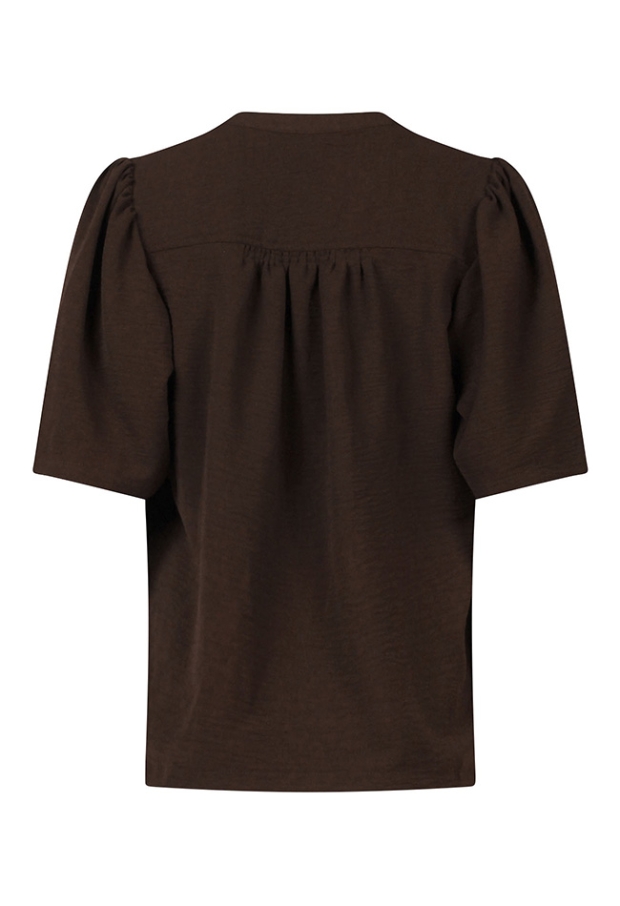 Z10673/CX10077 Bruin