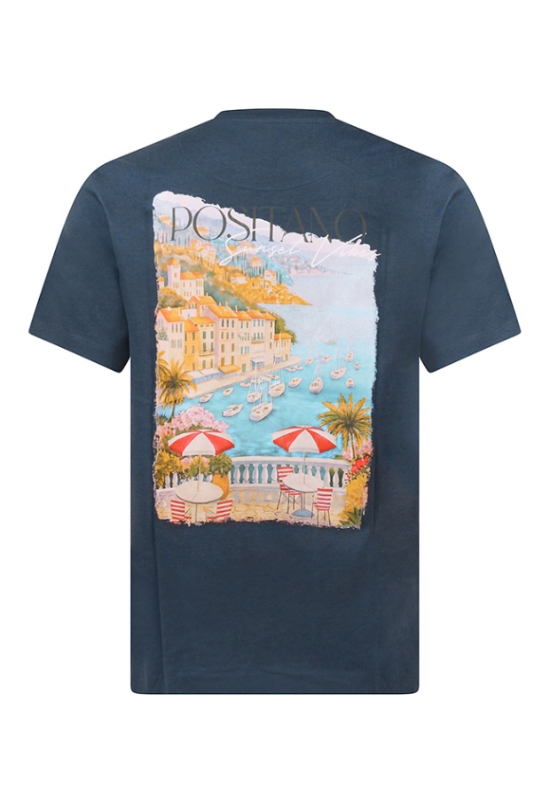 Z10699/MT-49496 INDIGO 