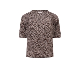 Kleur bruin