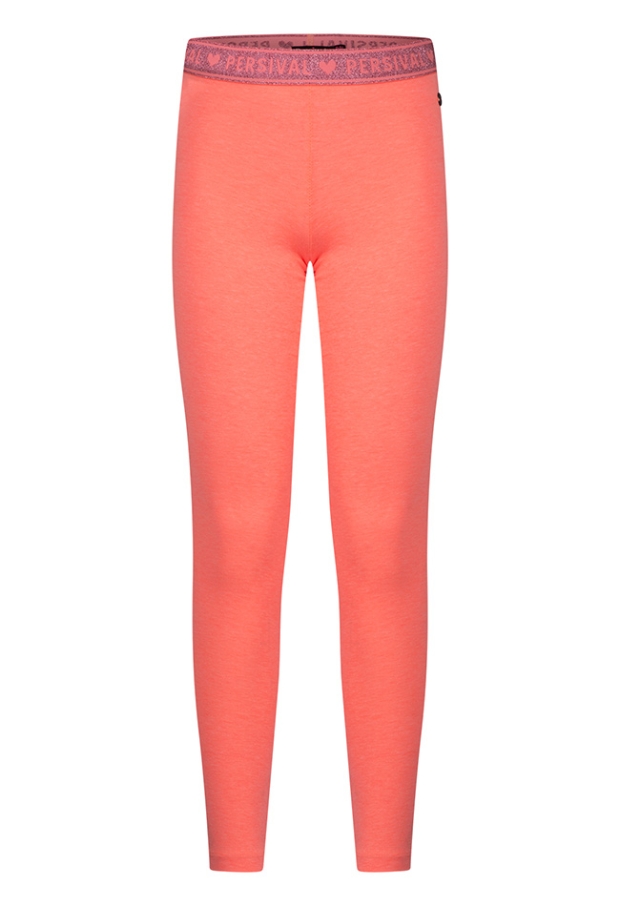 Z10111/3210224 FEL KORAAL 