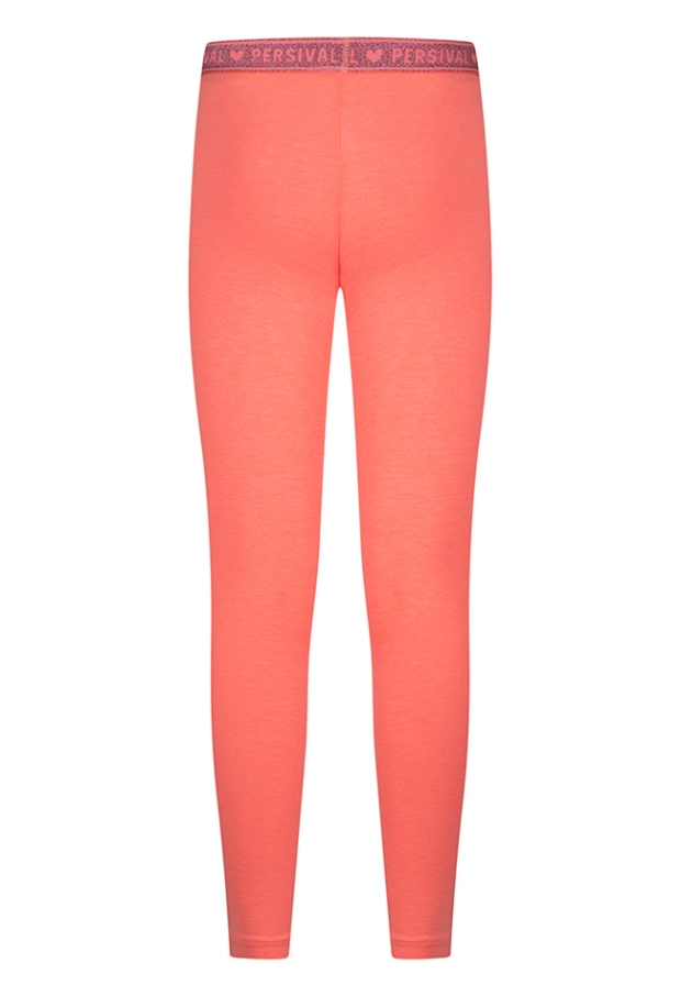 Z10111/3210224 FEL KORAAL 