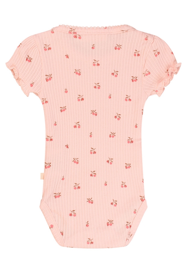 Z10117/3216902 LICHT ROSE 