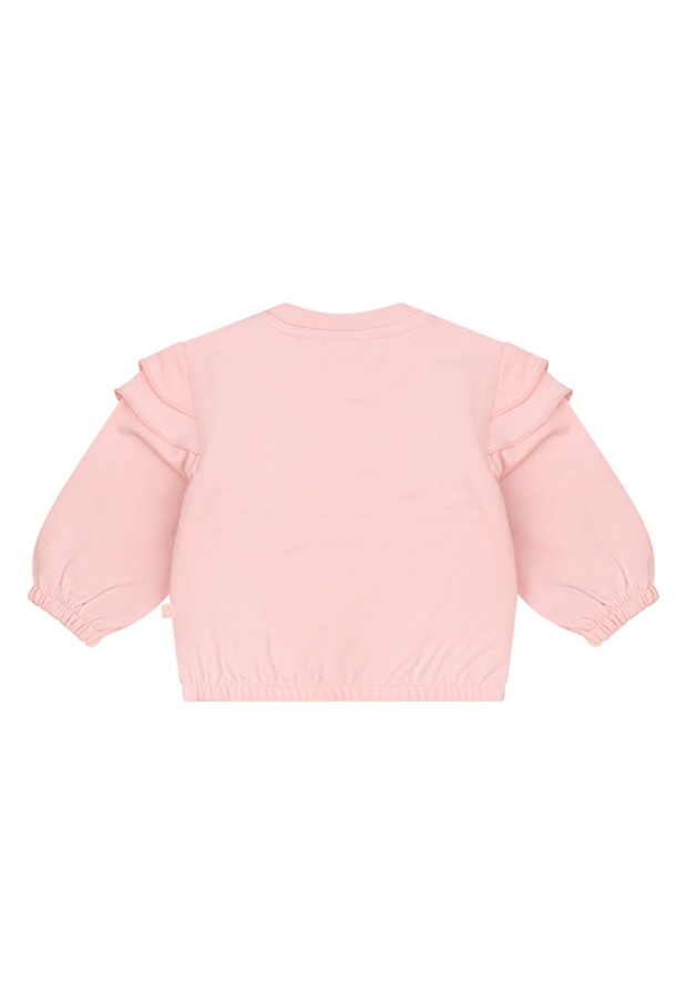 Z10125/3216400 LICHT ROSE 