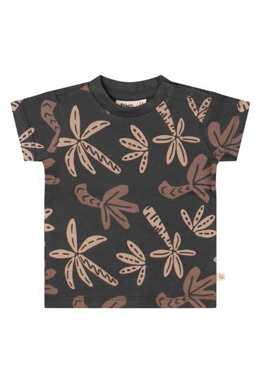 Flinq Z10134/3212602 Antraciet  45.BABYANTRA.S26