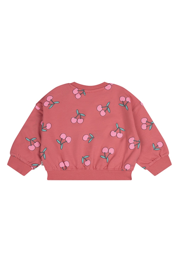 Z10141/3215401 LICHT ROOD 